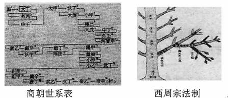 从下面示意图看,商朝与西周时期的宗法制的最大区别是